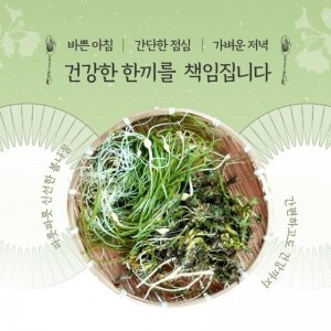 [예약판매] 토고미 유기농 산채소 랜덤박스(4종)2kg