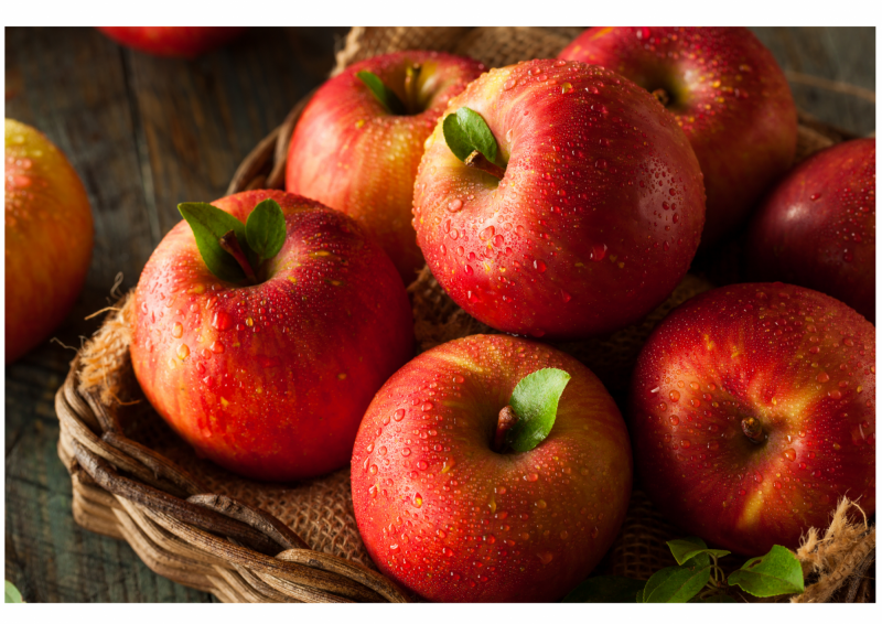 토고미 영농조합법인,강원도 화천 토고미마을 언덕농원 부사사과 설 특가 할인(10과/12과)